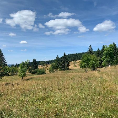 Ubytovani U Mateje Horní Blatná Dış mekan fotoğraf