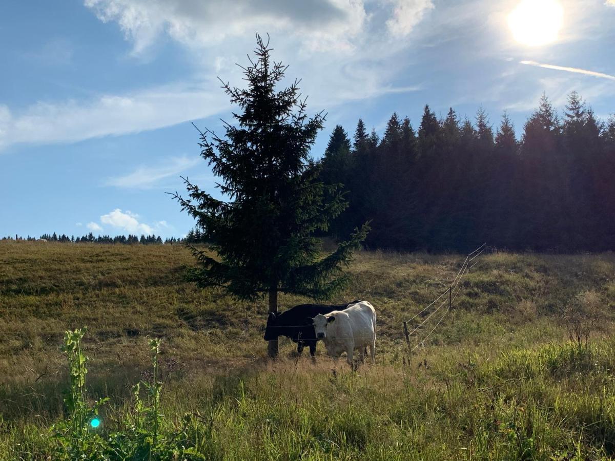 Ubytovani U Mateje Horní Blatná Dış mekan fotoğraf